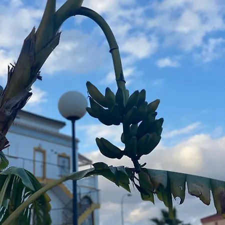 Sunny La Mata