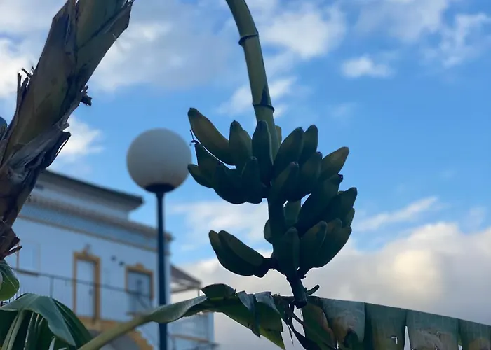 Sunny La Mata